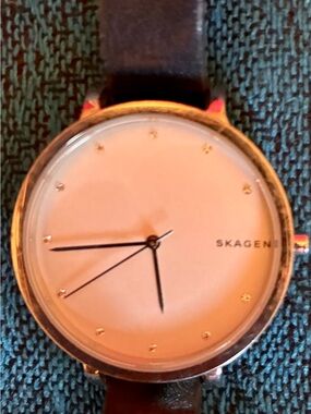 Skagen Rose Gold Case Watch with Black Hands and Strap